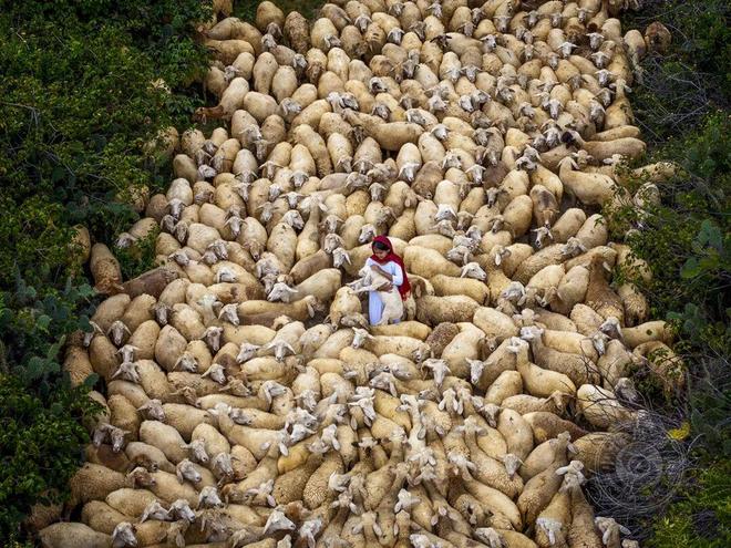 揭晓 2025年锡耶纳国际摄影大赛（旅行与冒险组）获奖公布